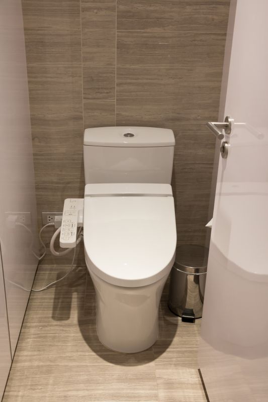 Smart Toilet and Bidet Features